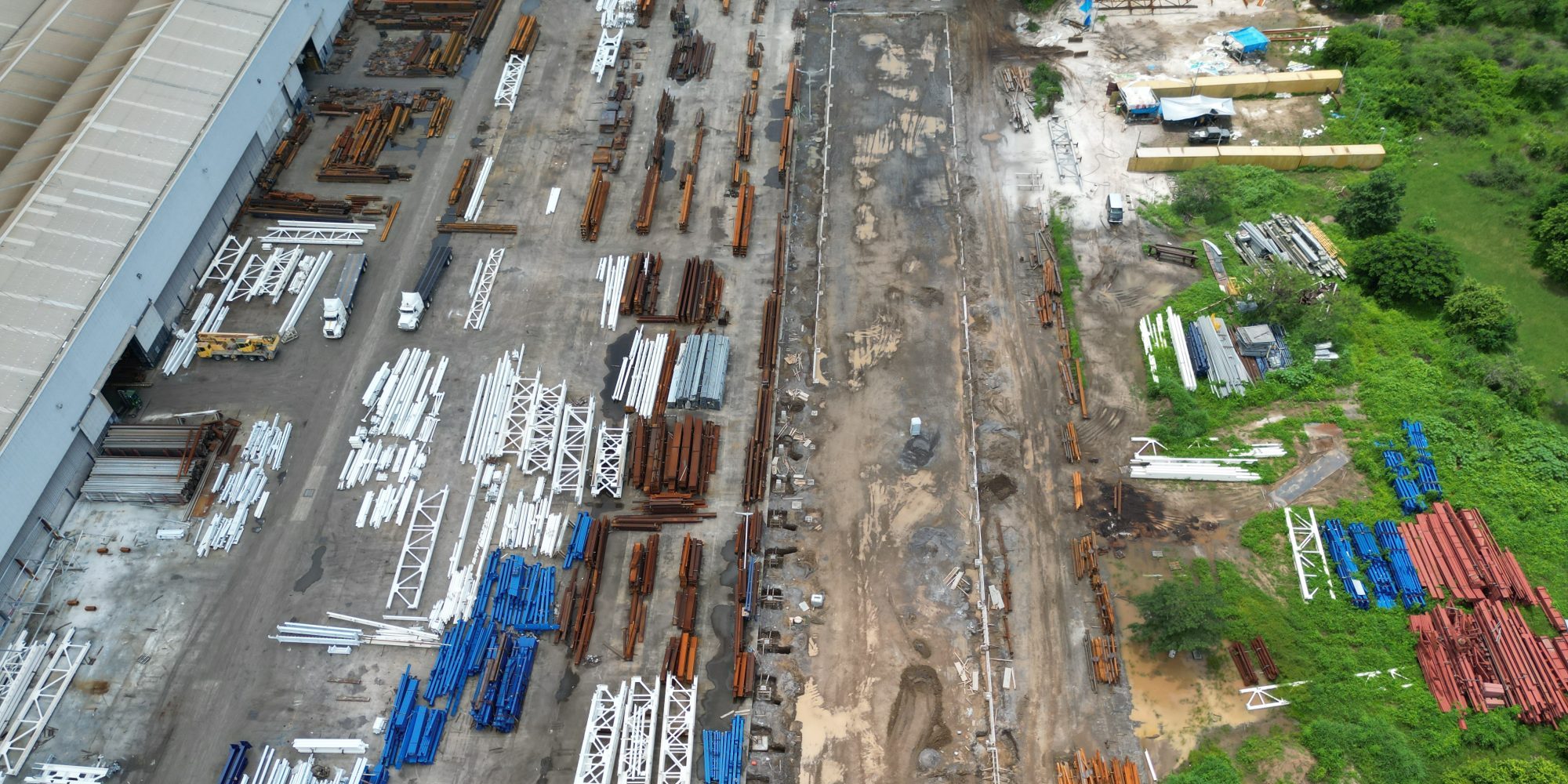 gandara-planta-pellizzari