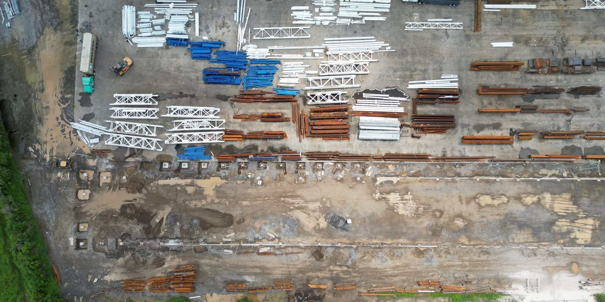 gandara-planta-pellizzari