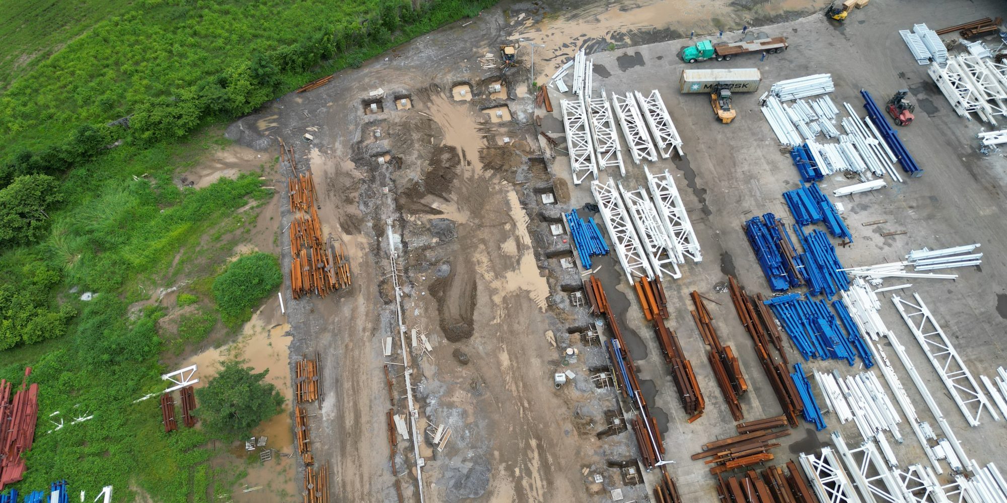 gandara-planta-pellizzari