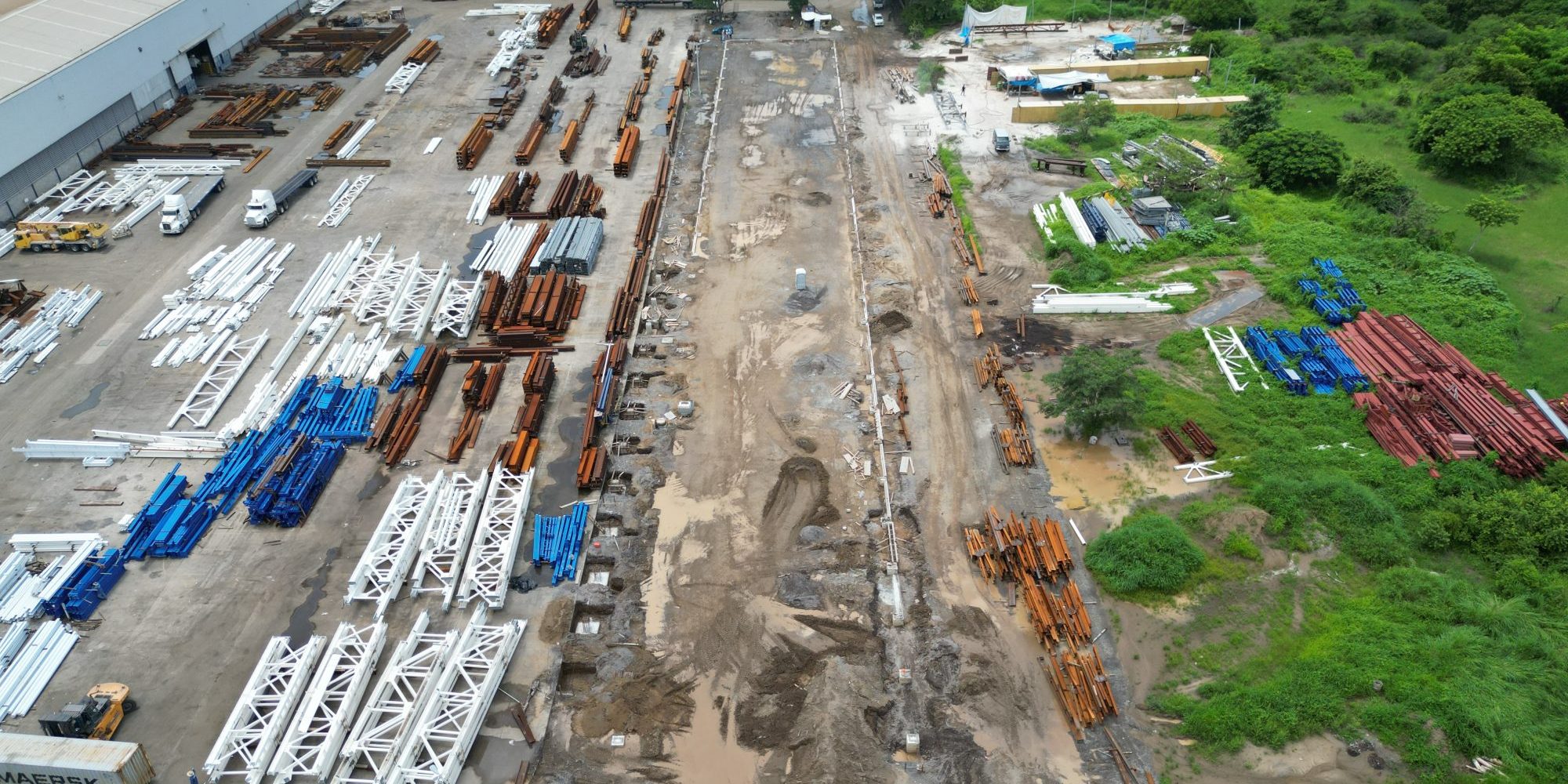 gandara-planta-pellizzari