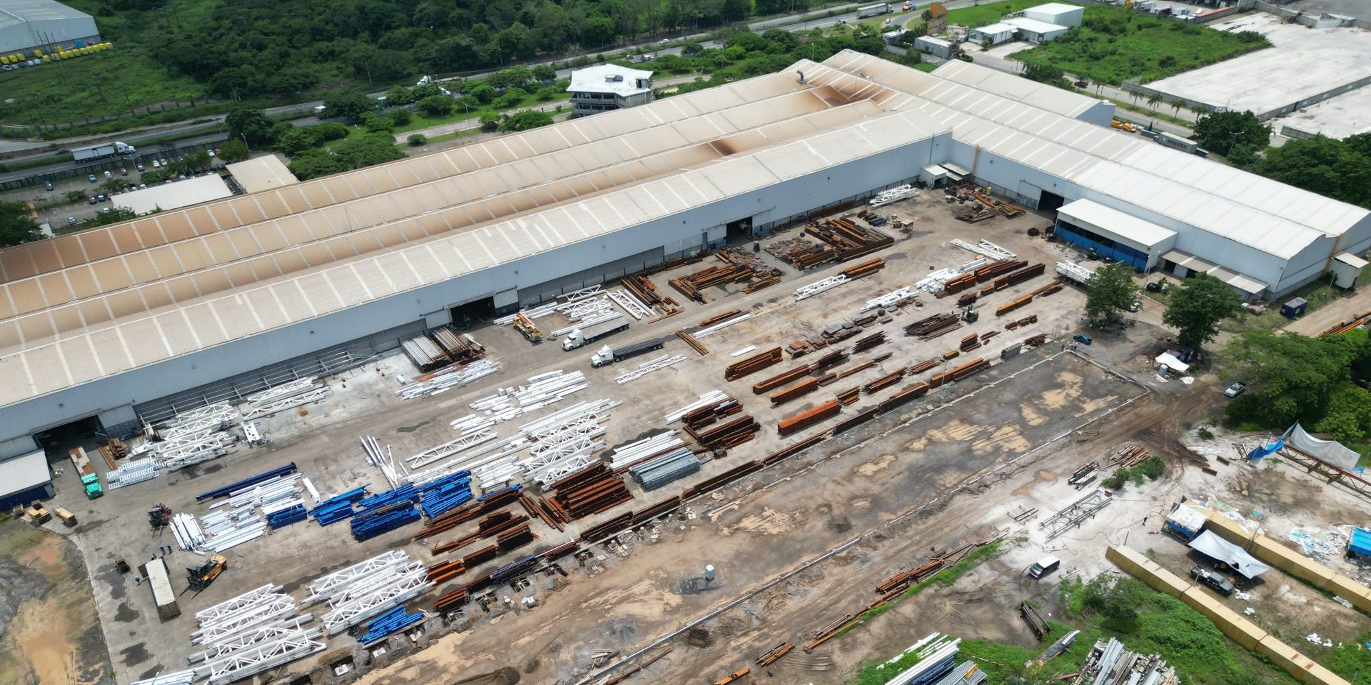 gandara-planta-pellizzari