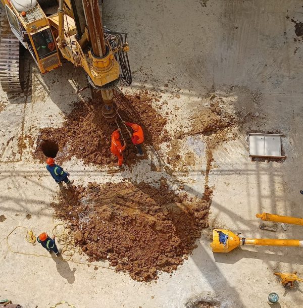 gandara-grupo-pecuario-san-antonio gandara-grupo-pecuario-san-antonio